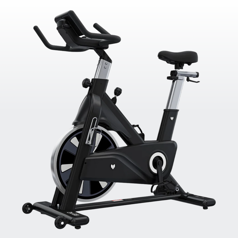 Lifespan Fitness SM-810 Commercial Spin Bike