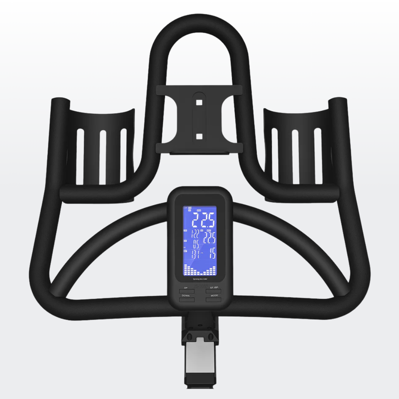 Lifespan Fitness SM-810 Commercial Spin Bike